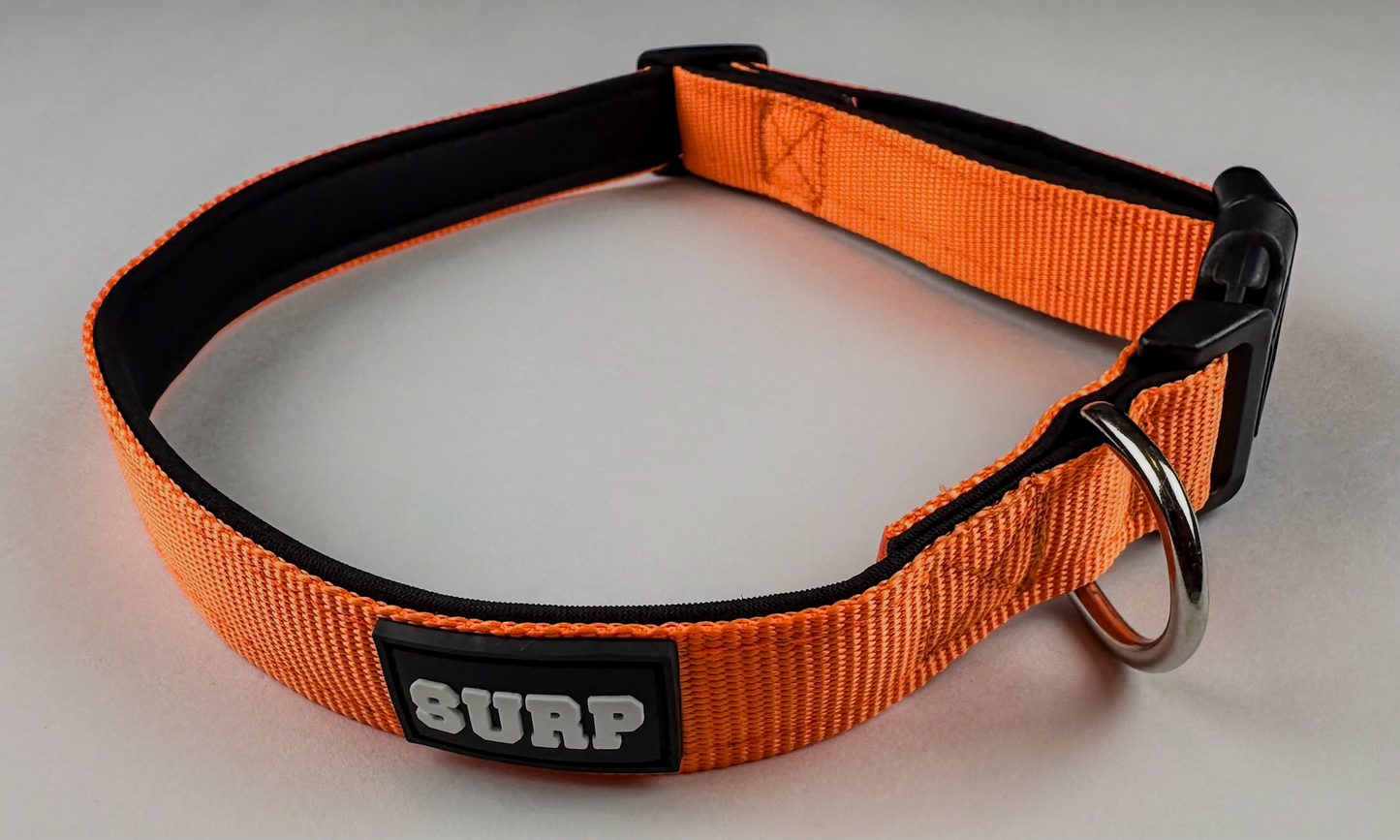 Orange SURP Dog Collar