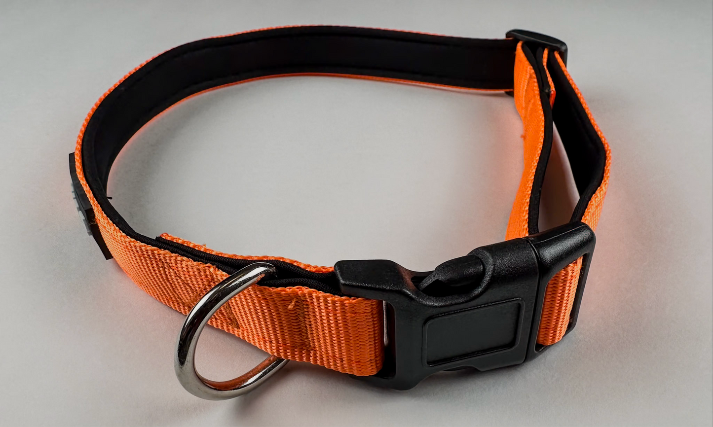 Orange SURP Dog Collar
