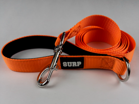 Orange SURP 6ft Dog Leash