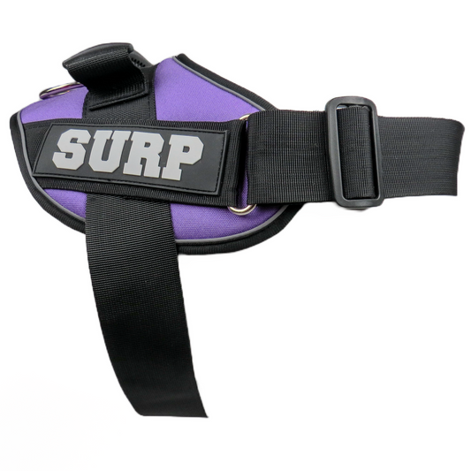 Purple SURP Dog Harness