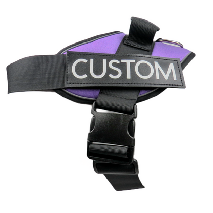 Purple SURP Dog Harness