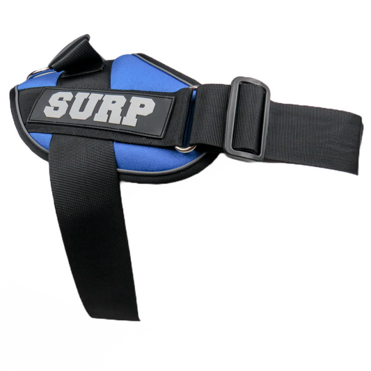 Blue SURP Dog Harness
