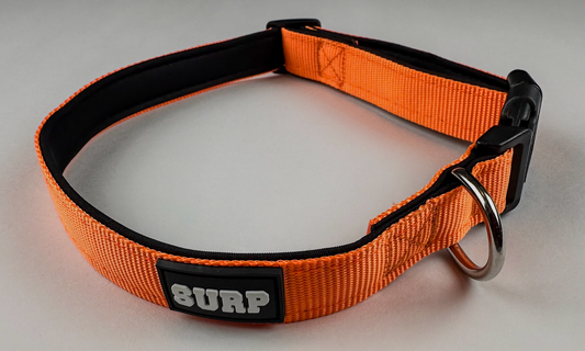 Orange SURP Dog Collar