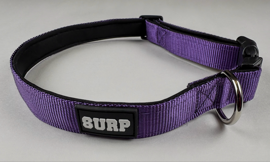Purple SURP Dog Collar