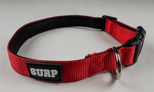 Red SURP Dog Collar
