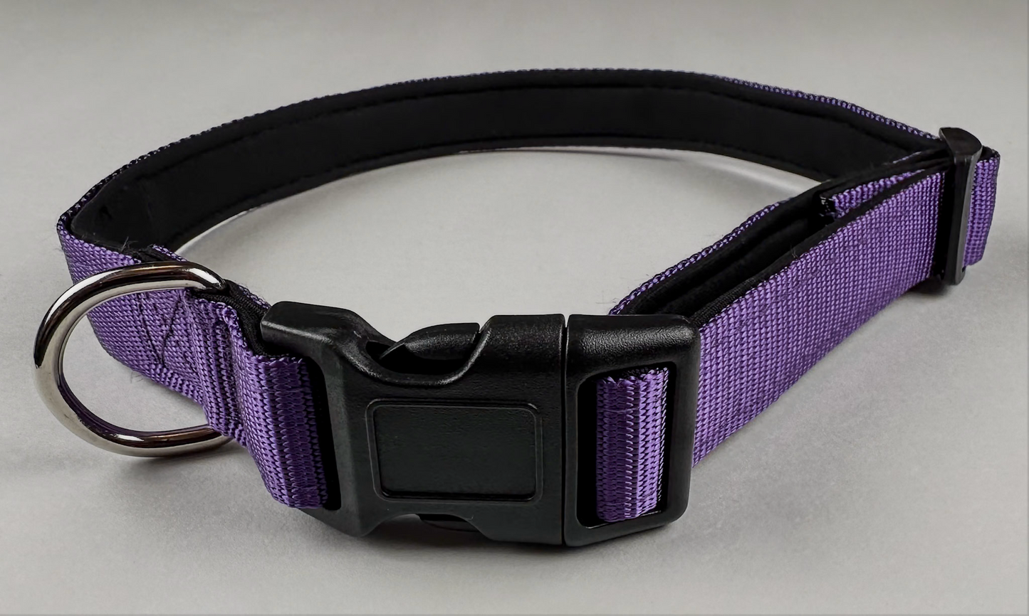 Purple SURP Dog Collar